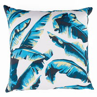 Maemara Botanics Scatter Cushion - Blue