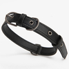 Matt & Nat Vegan London Dog Collar - Black