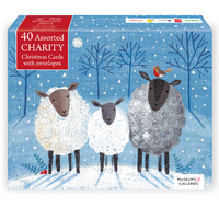 Mixed Charity Christmas Card Assortment - Box of 40