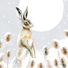 Moonlit Hare Charity Christmas Cards - Pack of 8