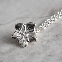 Mosami Forget Me Not 