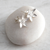 Mosami Garlic Flower 