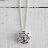 Mosami Rose 