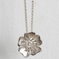Mosami Wild Rose 