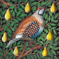 Partridge in a Pear Tree Charity Christmas Cards - Pack of 8