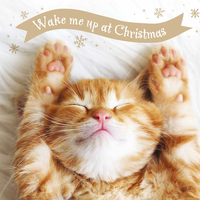 Wake Me Up Charity Christmas Cards - Pack of 10
