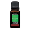Incognito Organic Java Citronella Oil 10ml
